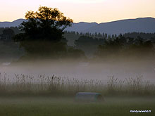 Brume - Kaikoura - Nouvelle Zélande